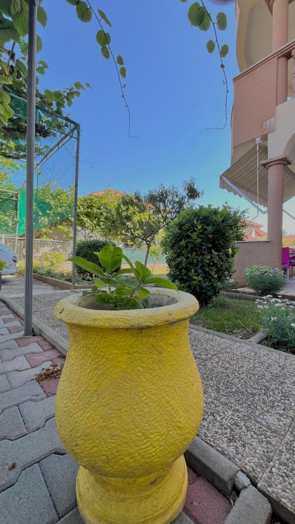 Apartments Villa Rotim Zadar Exteriér fotografie
